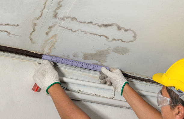 Reliable Water Damage Repair contractor in Jersey City, NJ by Local Water Damage Repair